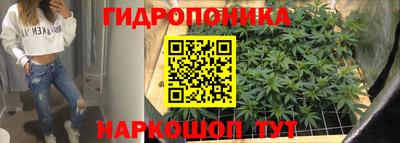 spice Вязьма