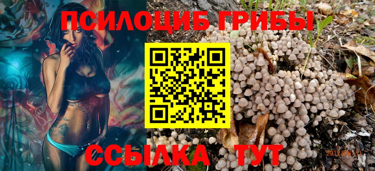 Богородицк  купить наркотики цена  Вход с VPN  Псилоцибиновые грибы Cubensis 